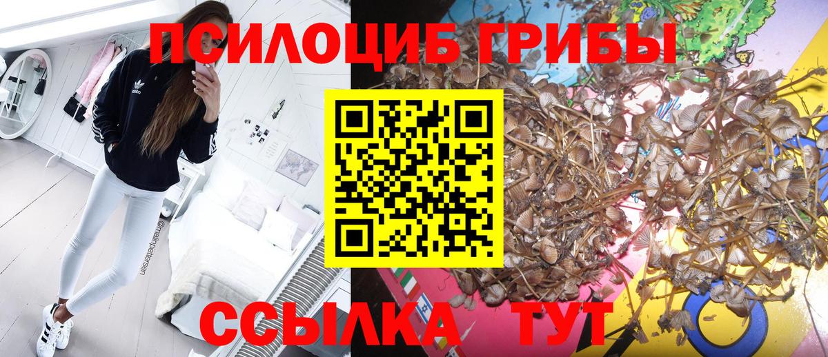 Псилоцибиновые грибы ЛСД  Галлюциногенные грибы MAGIC MUSHROOMS  Вход с VPN  Красноярск 